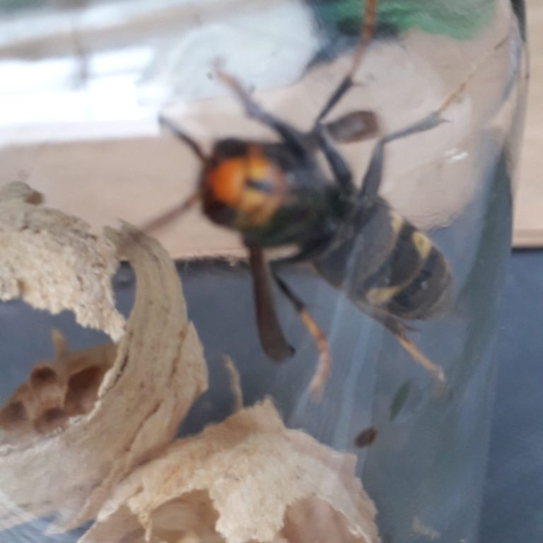 COMMUNES DU GRAND REIMS